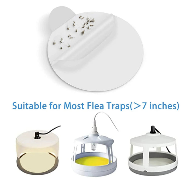 Sticky Bed Bug Trap Refill Glue Boards