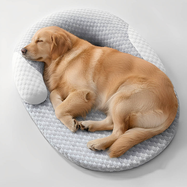 Orthopaedic Cooling Dog Bed
