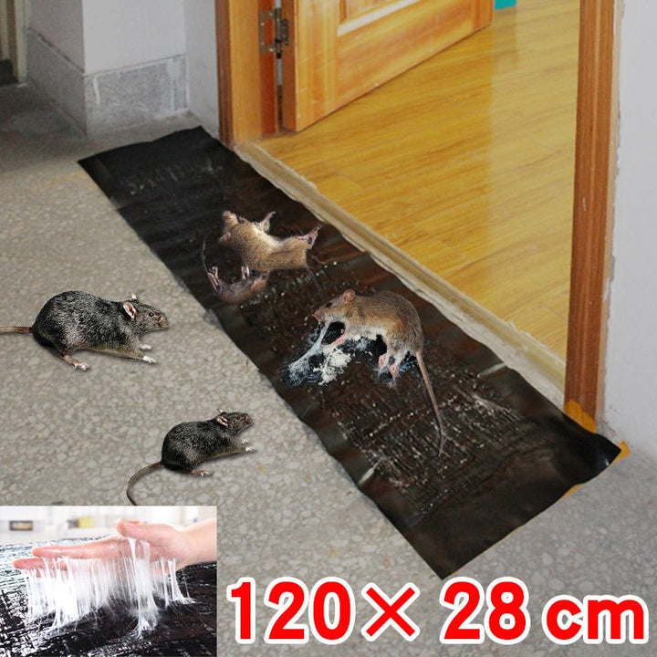 Large, non-toxic trap for effective pest control