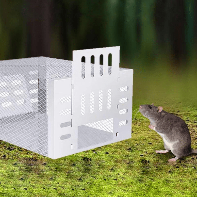 Human Mouse Trap with Safe &amp; Reusable Design