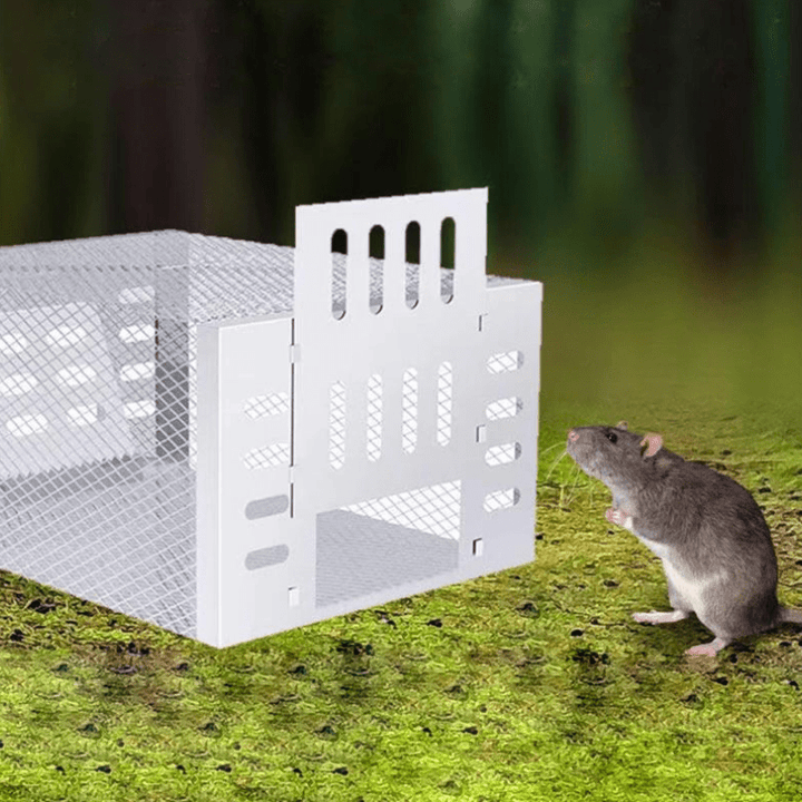 Human Mouse Trap with Safe &amp; Reusable Design