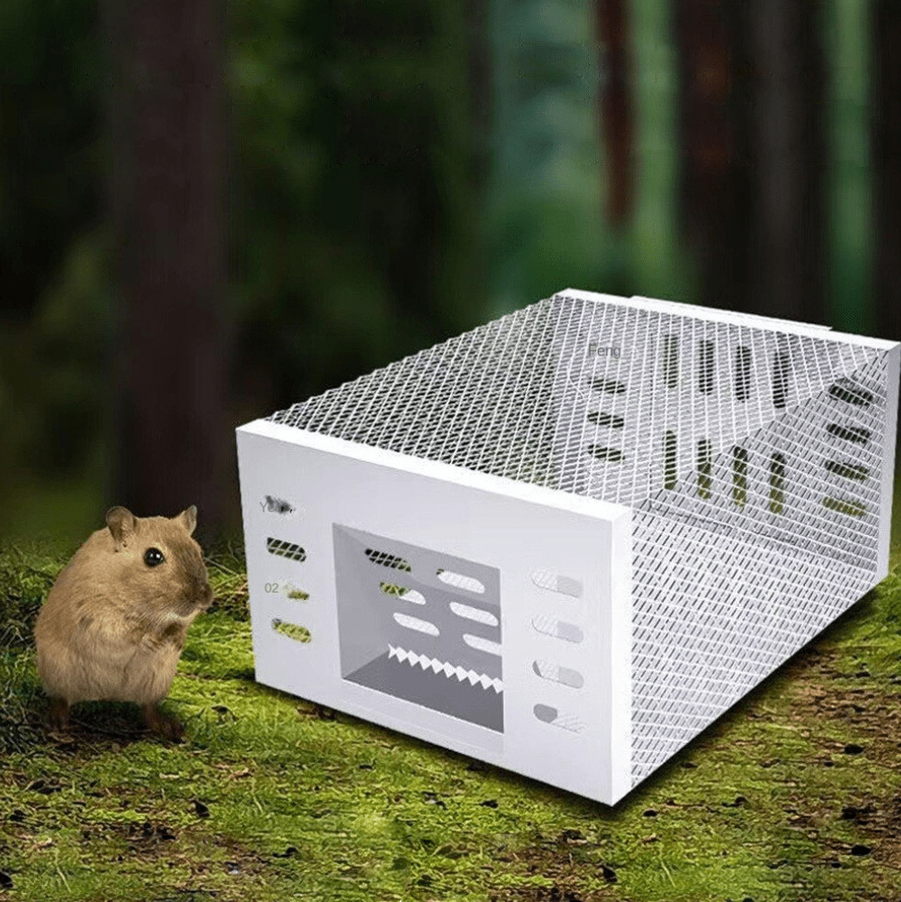 Human Mouse Trap with Safe &amp; Reusable Design