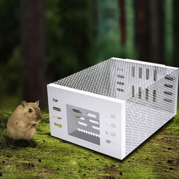 Human Mouse Trap with Safe &amp; Reusable Design
