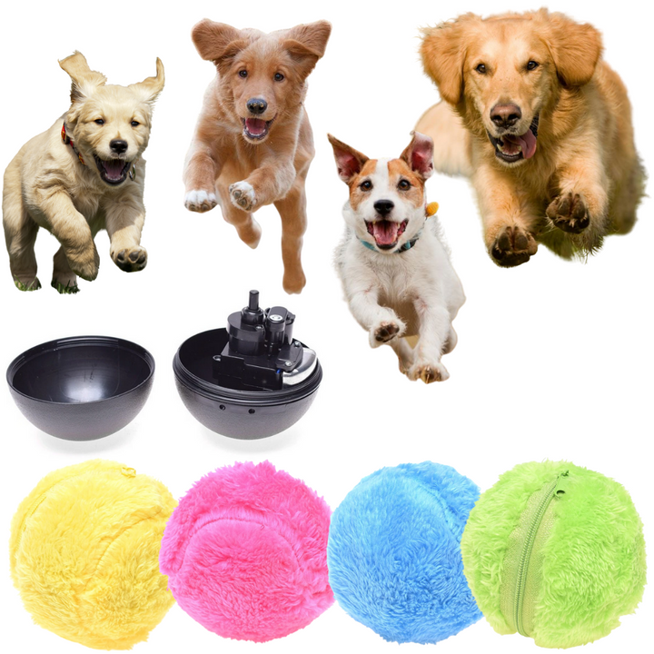 Active Rolling Ball (4 colours Included)