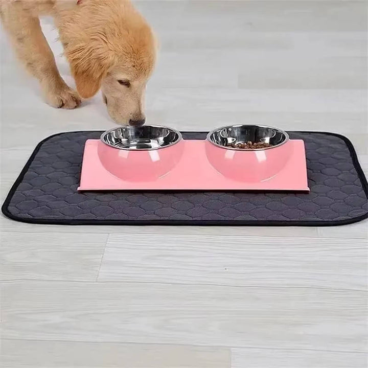 Dog Pee Pads Disposable And Reusable