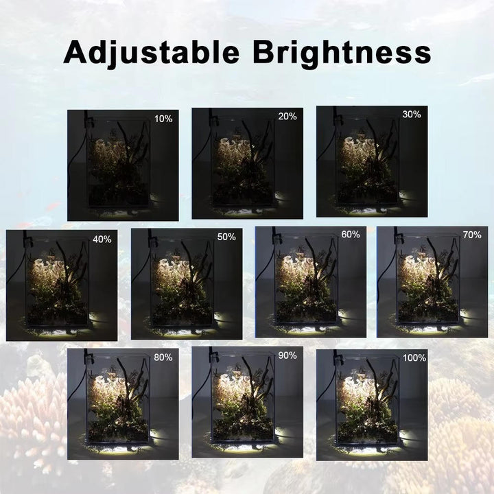 LED Light for Fish Tank