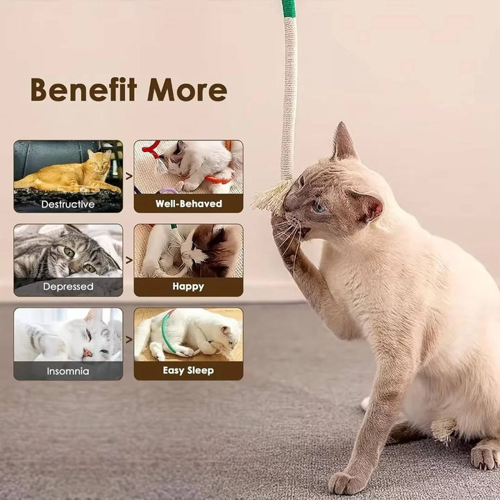 Cat Chew Toys