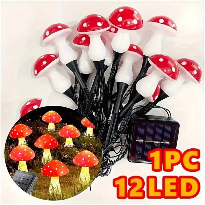 LED Solar Lights Outdoor Decorative