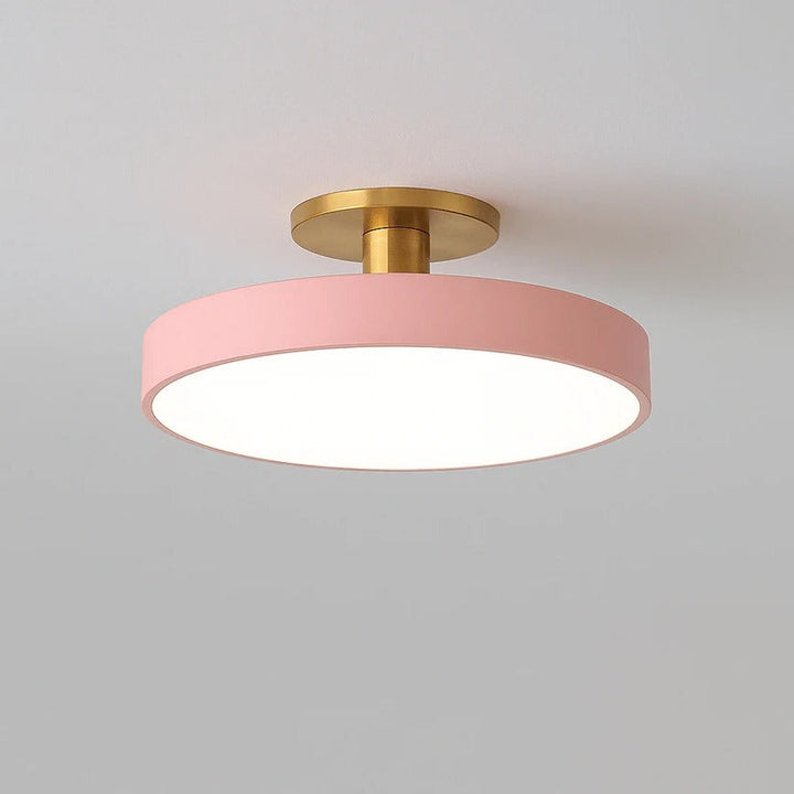 LED Ceiling Light