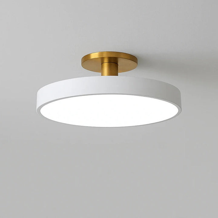 LED Ceiling Light