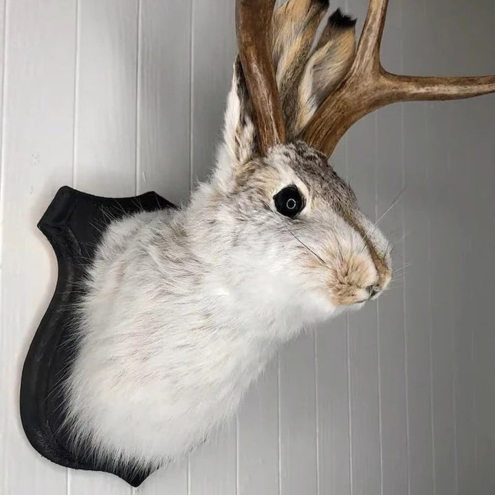 Jackalope Wall Decor