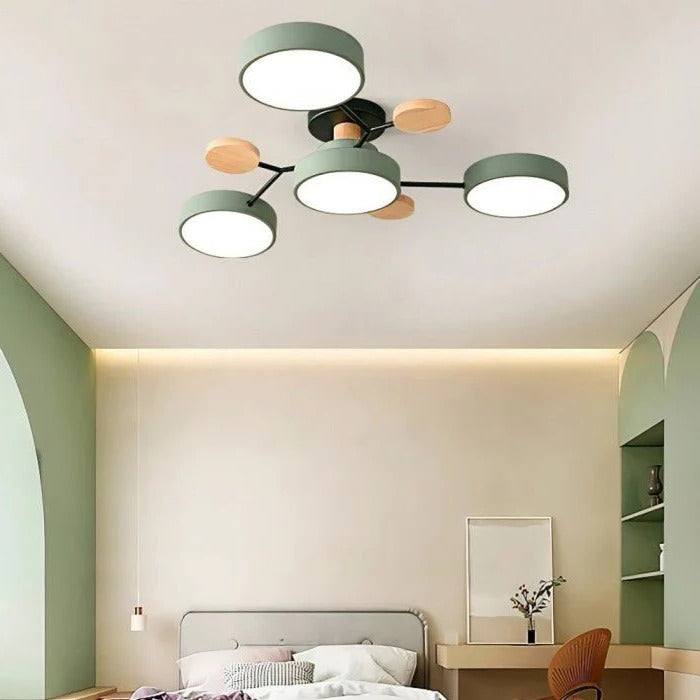 Ceiling Light - Branching Design, Stylish &amp; Sustainable with LED Technology