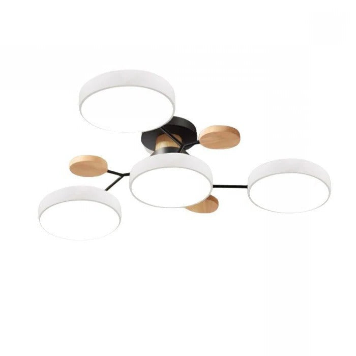 Ceiling Light - Branching Design, Stylish &amp; Sustainable with LED Technology