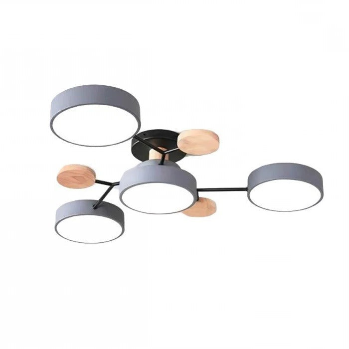 Ceiling Light - Branching Design, Stylish &amp; Sustainable with LED Technology