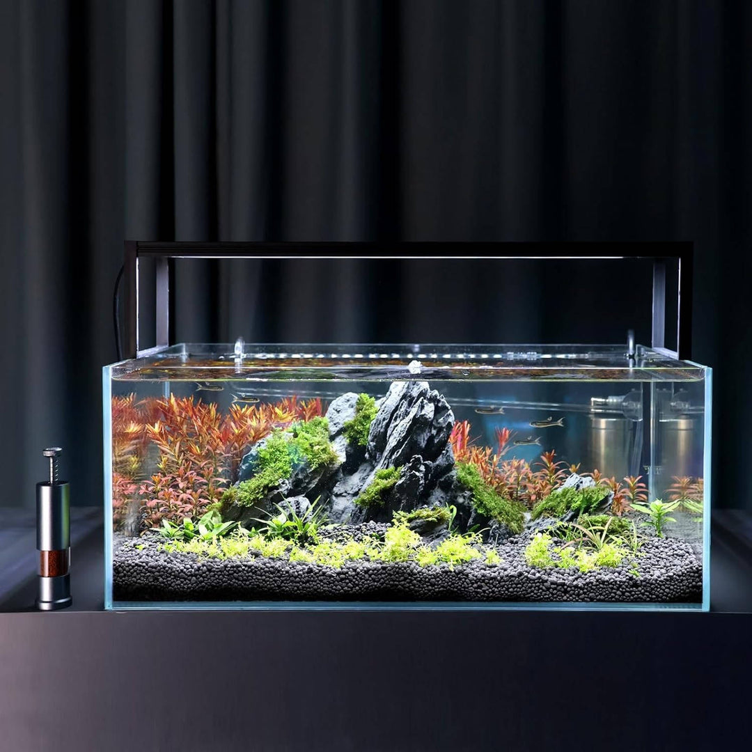Mini Fish Feeder Aquarium