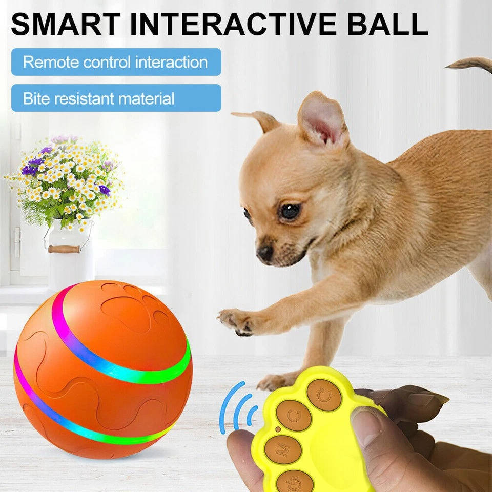 Interactive Dog Ball Toy