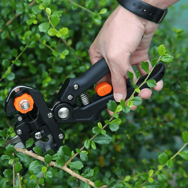 Professional Grafting &amp; Pruning Tool