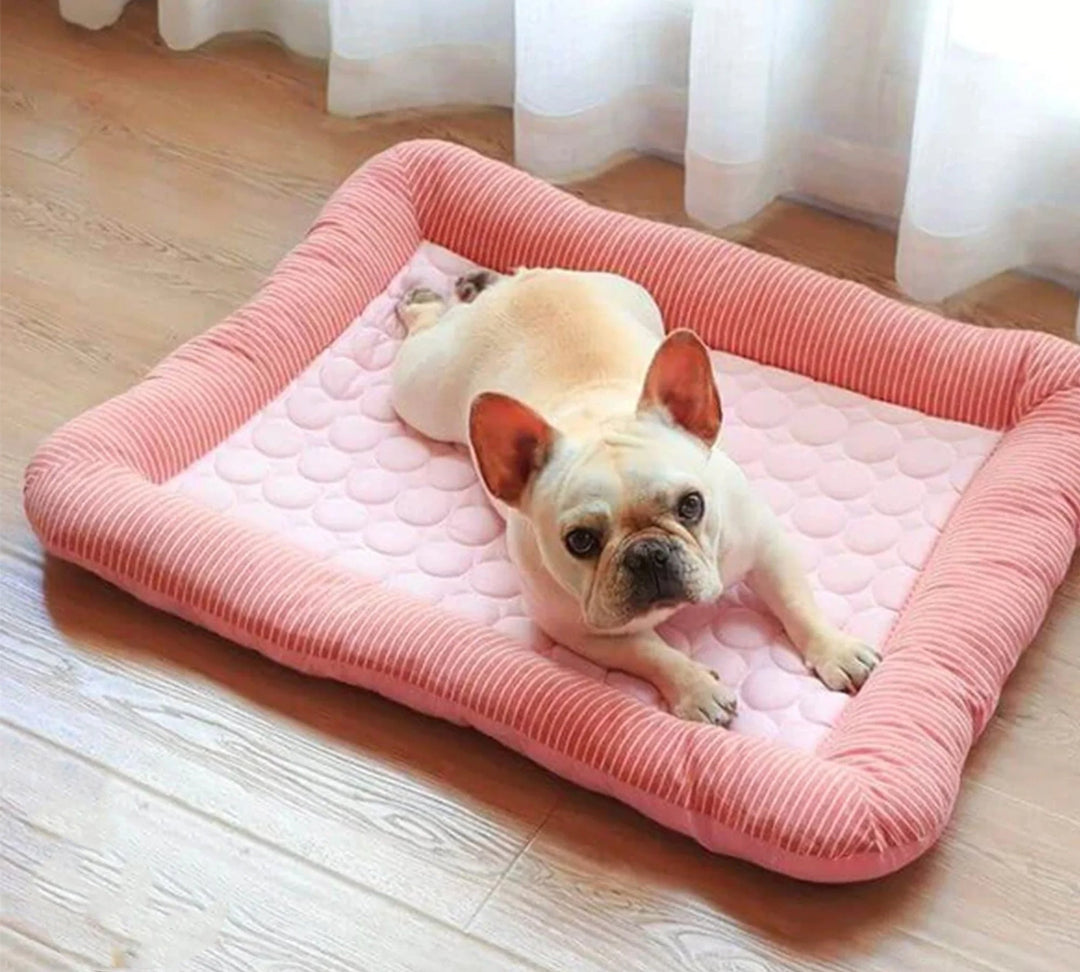 Cooling Dog Bed with Ice Silk Material